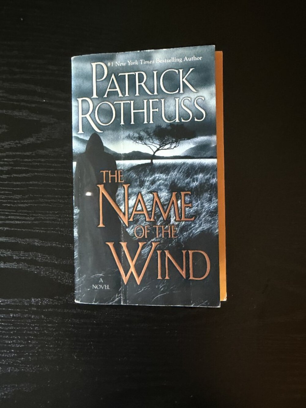 The Name of the Wind Patrick Rothfuss Kingkiller Chronicle Day One Paperback